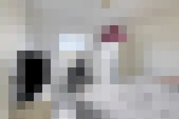 Kopstuk 13 Arnhem thumbnail 20