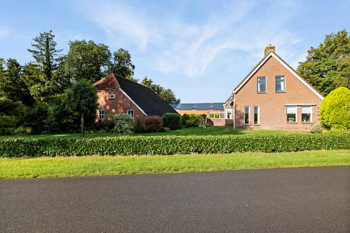 Kopstukken 15 in Mussel foto