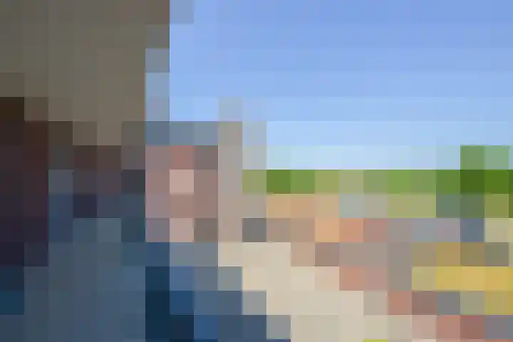 Koraal 130 Zeewolde thumbnail 18