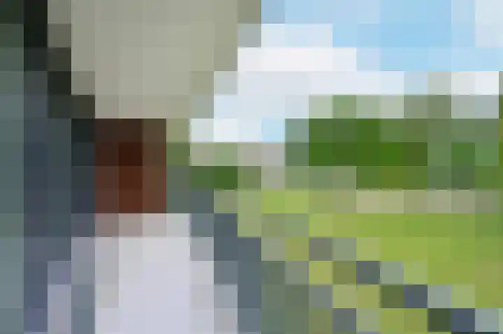 Koraal 130 Zeewolde thumbnail 19