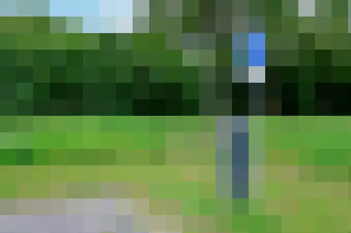Koraal 130 Zeewolde thumbnail 24