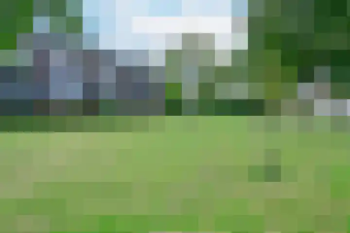 Koraal 130 Zeewolde thumbnail 25