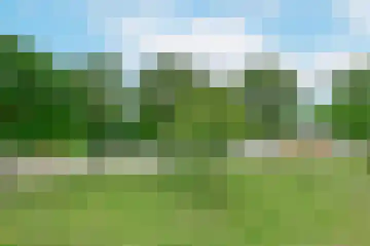 Koraal 130 Zeewolde thumbnail 26