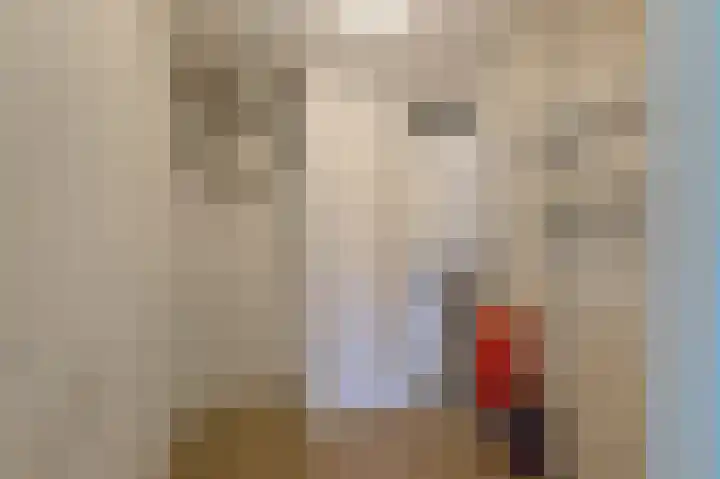 Koraal 130 Zeewolde thumbnail 8