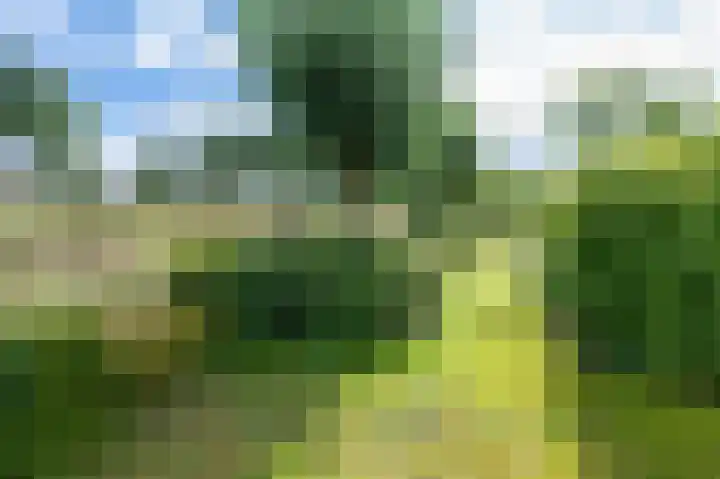 Koraaldreef 18 Emmen thumbnail 31