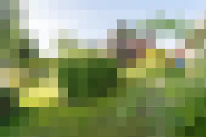 Koraaldreef 18 Emmen thumbnail 32