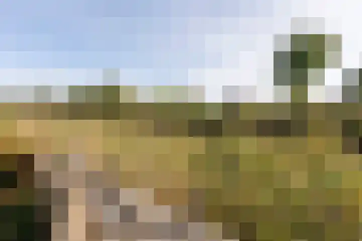 Koraaldreef 18 Emmen thumbnail 38