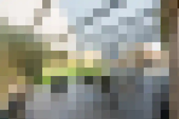 Koraaldreef 22 Emmen thumbnail 29