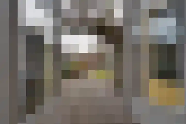 Koraalstoep 7 Assen thumbnail 25