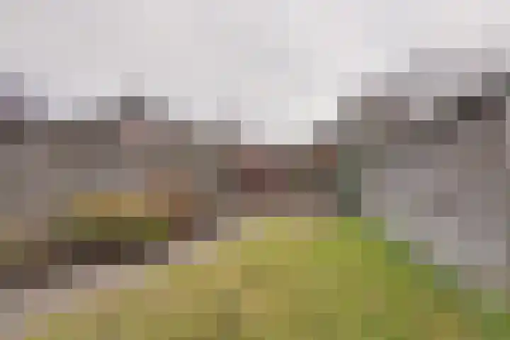 Koraalstoep 7 Assen thumbnail 26