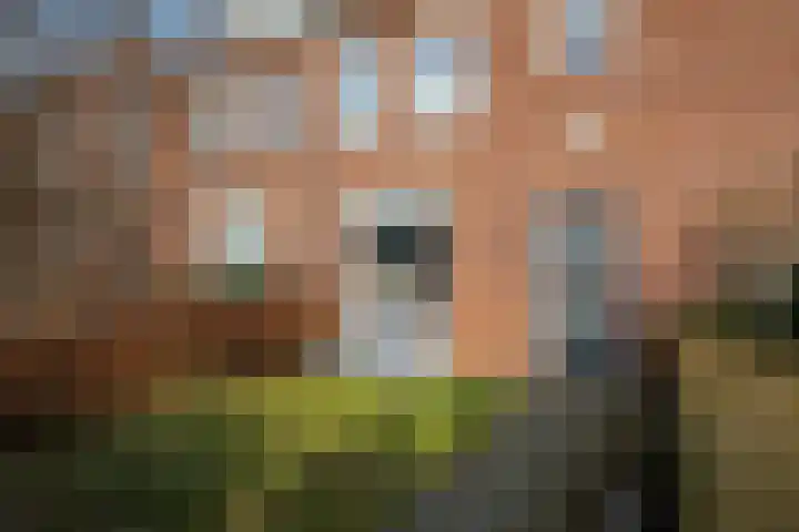 Koraalstraat 47 Breda thumbnail 51