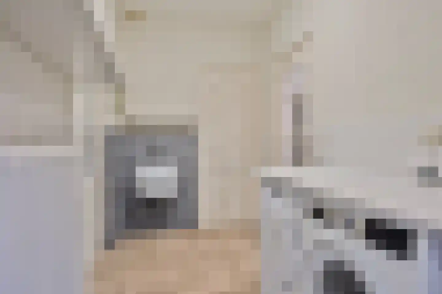 Koren 5 Mierlo thumbnail 21