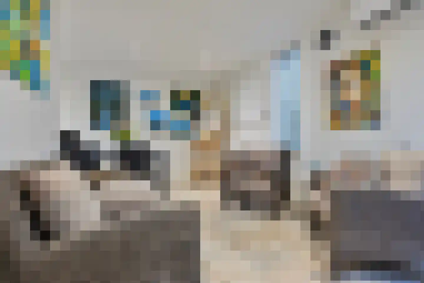 Koren 5 Mierlo thumbnail 25