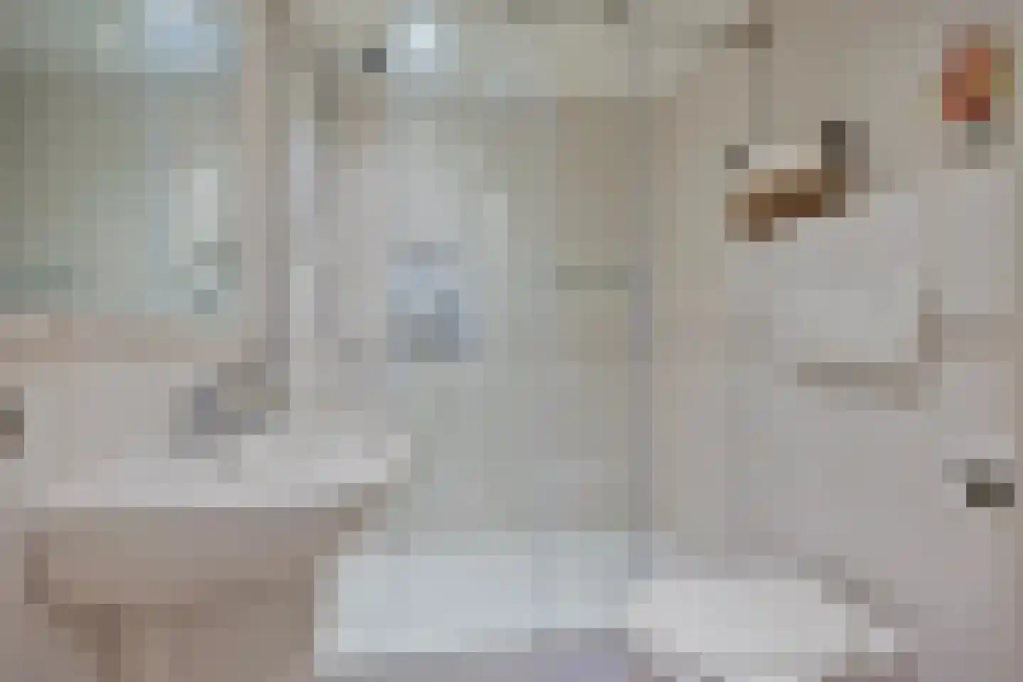 Koren 5 Mierlo thumbnail 28