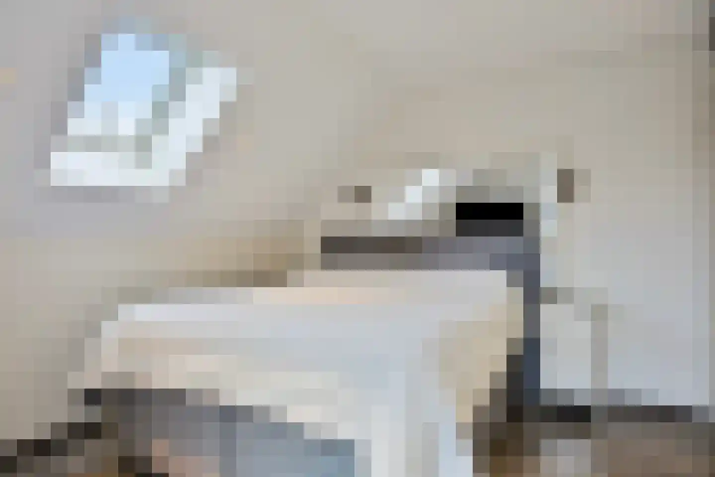 Koren 5 Mierlo thumbnail 32