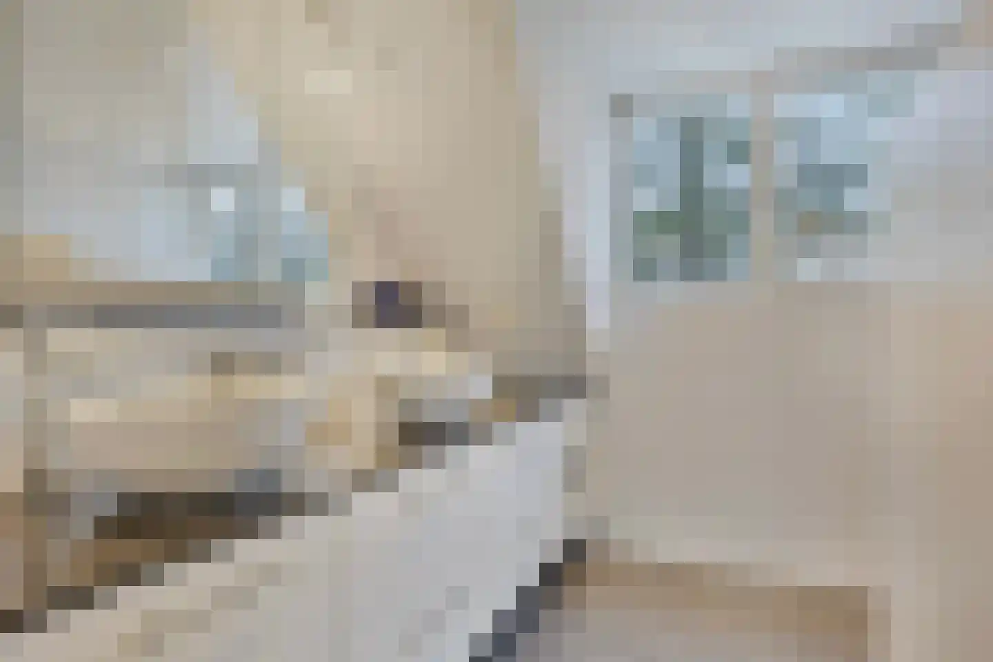 Koren 5 Mierlo thumbnail 34