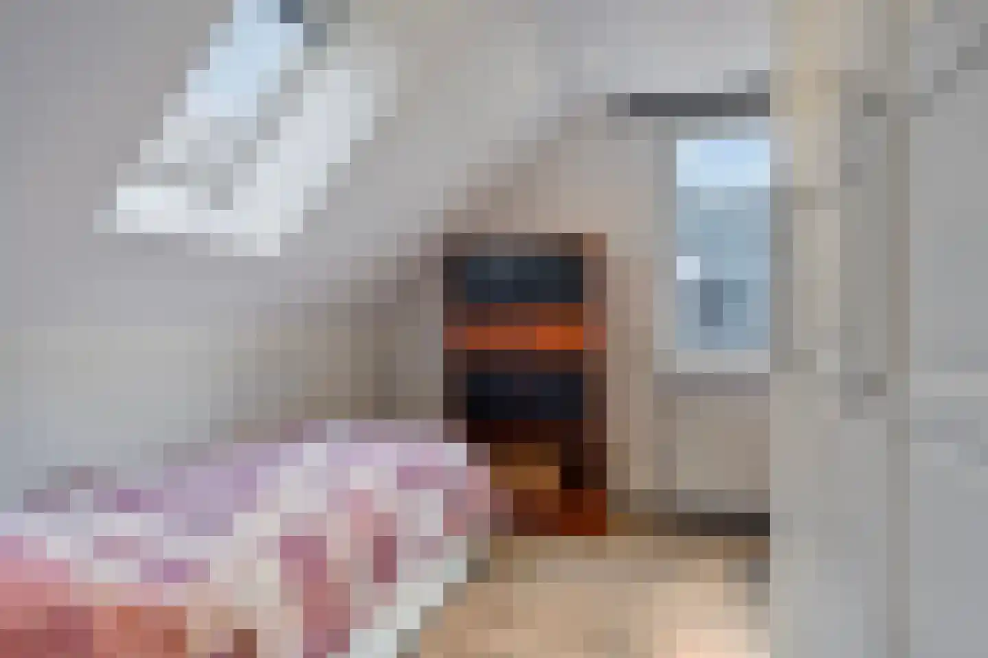 Koren 5 Mierlo thumbnail 37