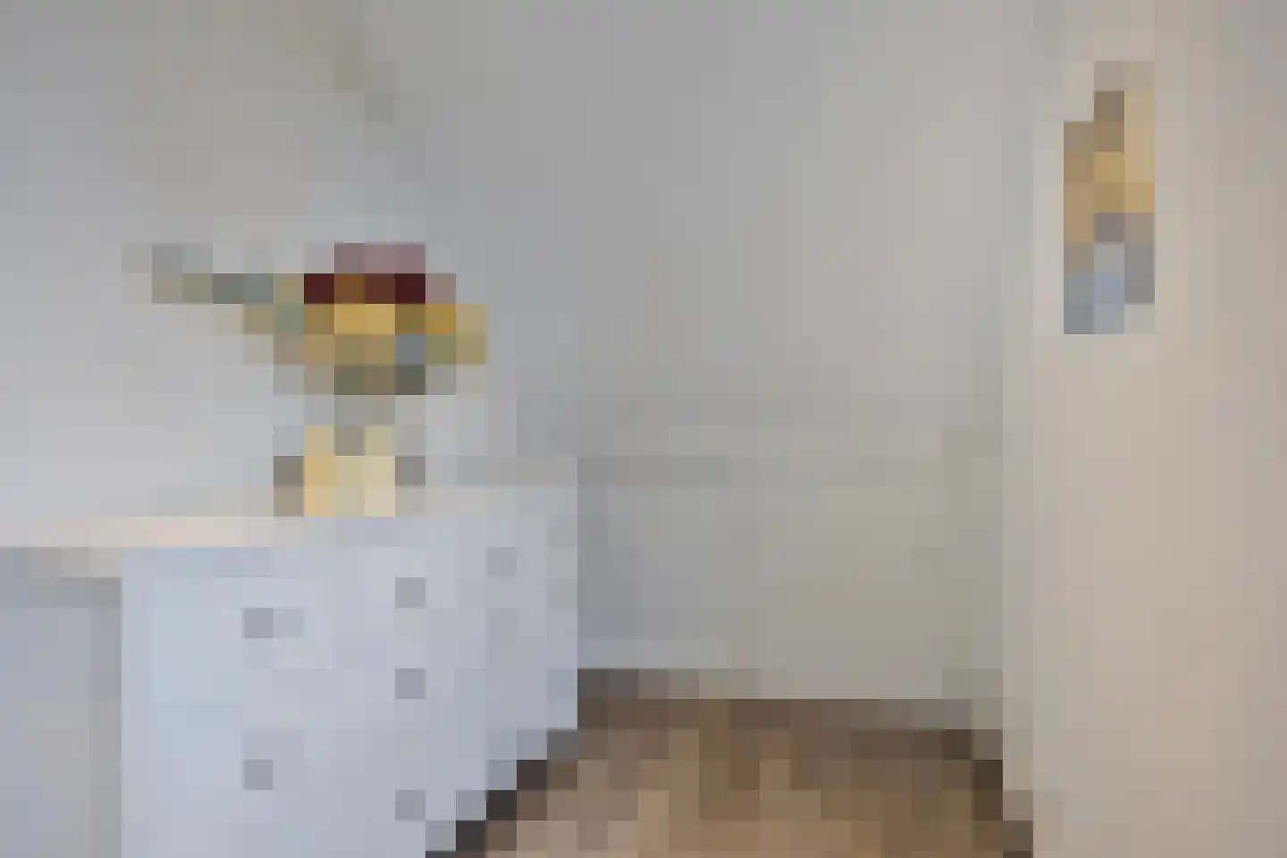 Koren 5 Mierlo thumbnail 38