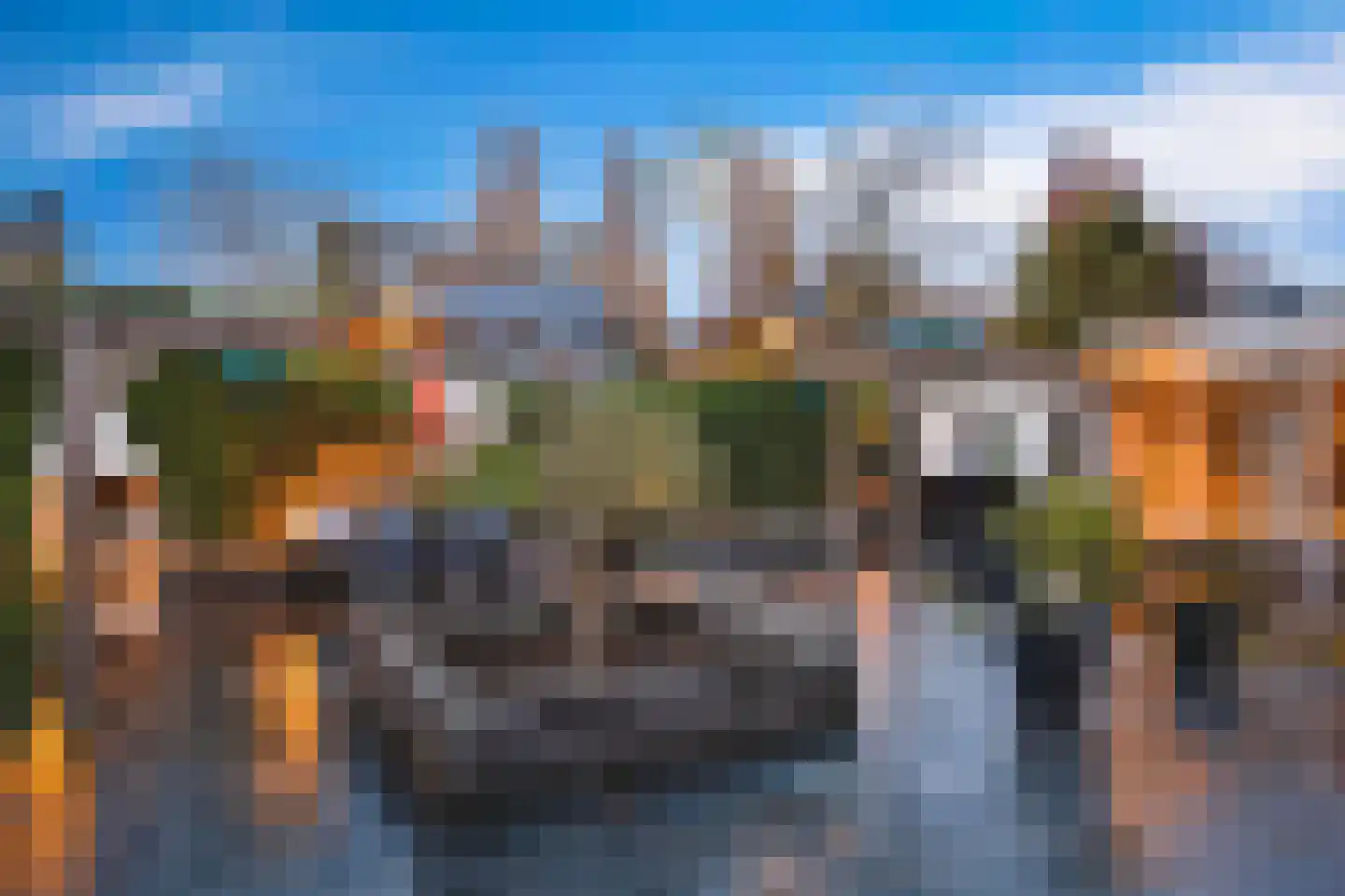 Koren 5 Mierlo thumbnail 42
