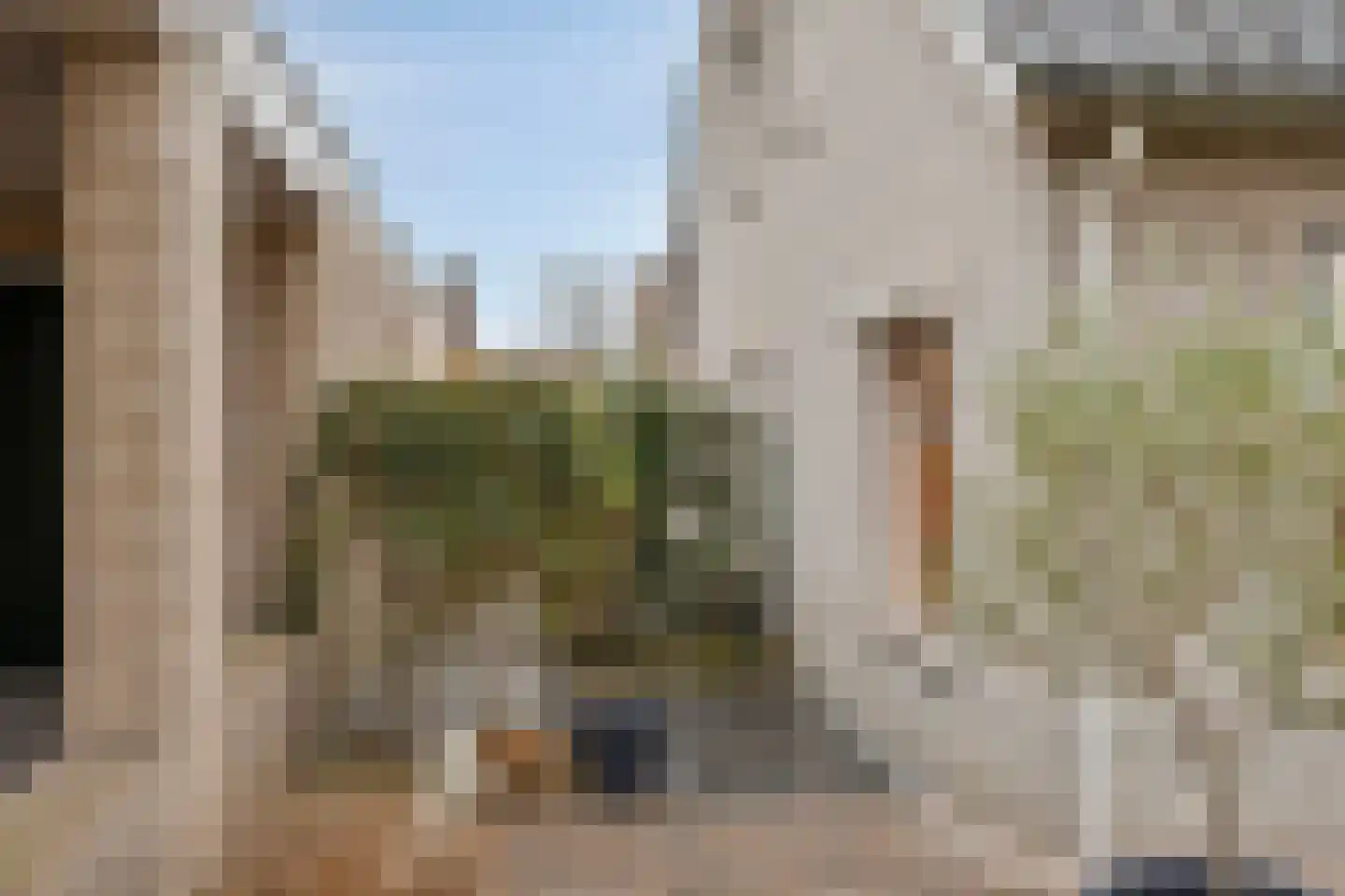Koren 5 Mierlo thumbnail 46