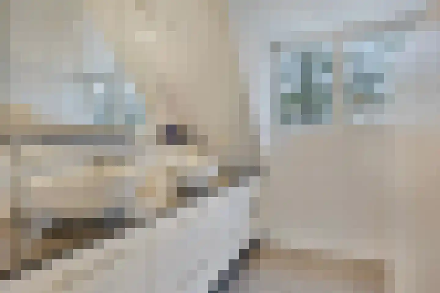 Koren 5 Mierlo thumbnail 6
