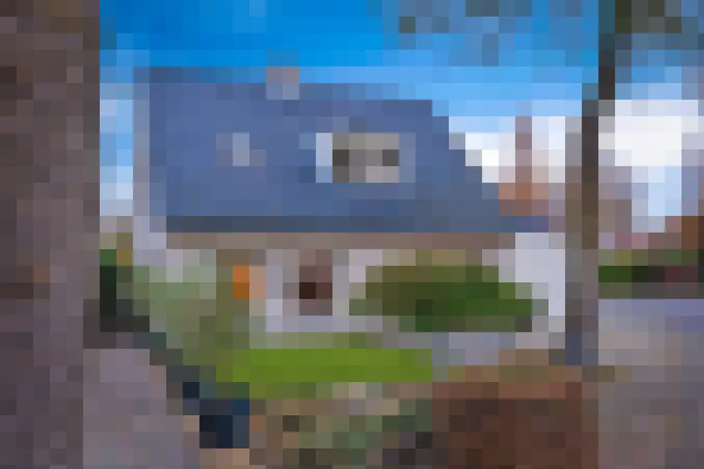 Koren 5 Mierlo thumbnail 7