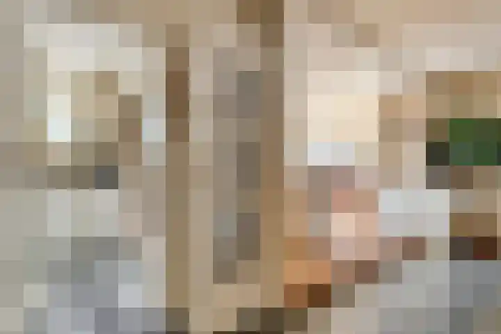 Korenaar 1 Wierden thumbnail 13