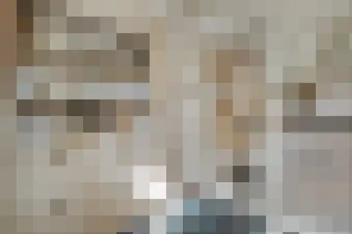 Korenaar 1 Wierden thumbnail 17