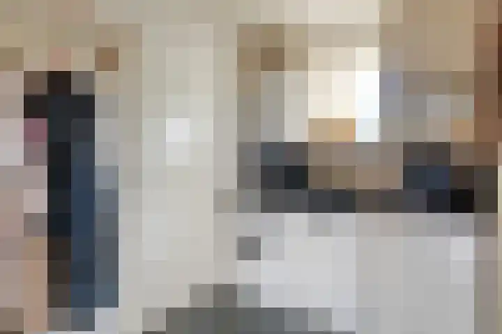 Korenaar 1 Wierden thumbnail 18