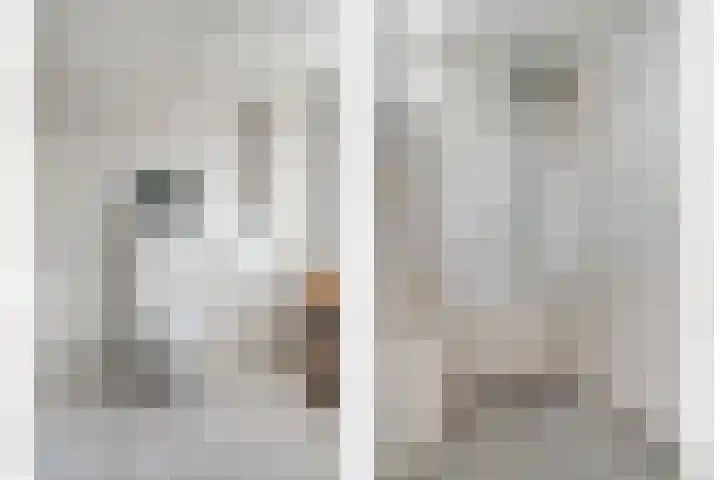 Korenaar 1 Wierden thumbnail 29