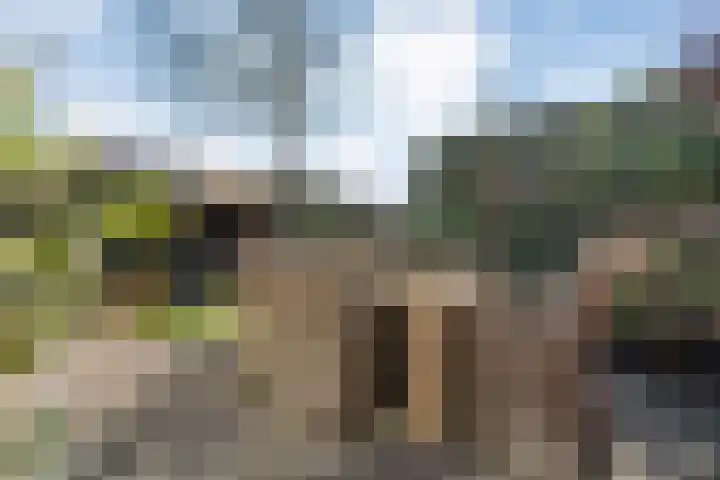 Korenaar 1 Wierden thumbnail 36