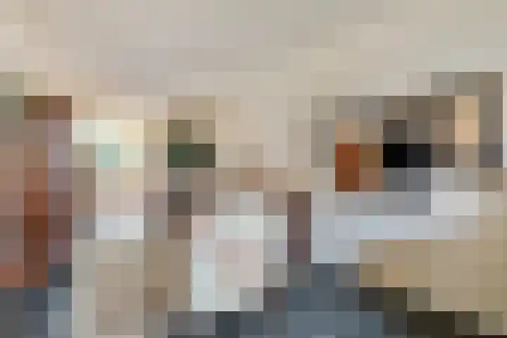 Korenaar 1 Wierden thumbnail 9