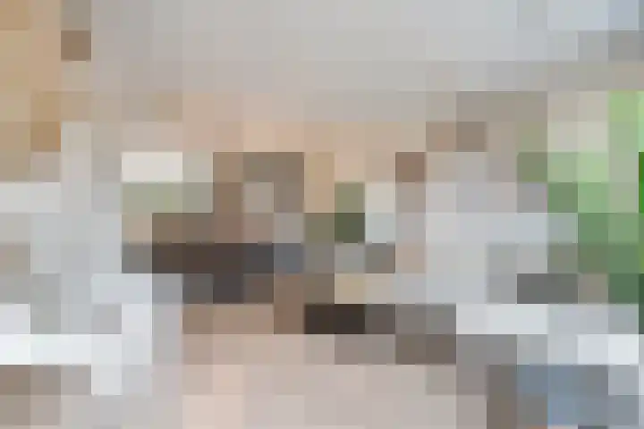 Korenaar 10 Weert thumbnail 13