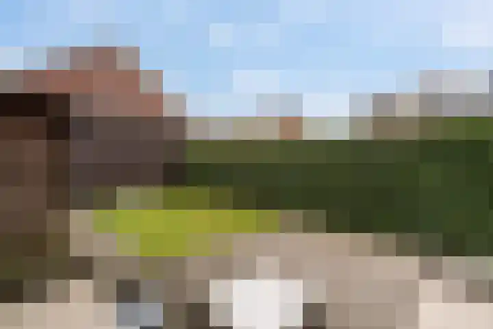 Korenaar 10 Weert thumbnail 33