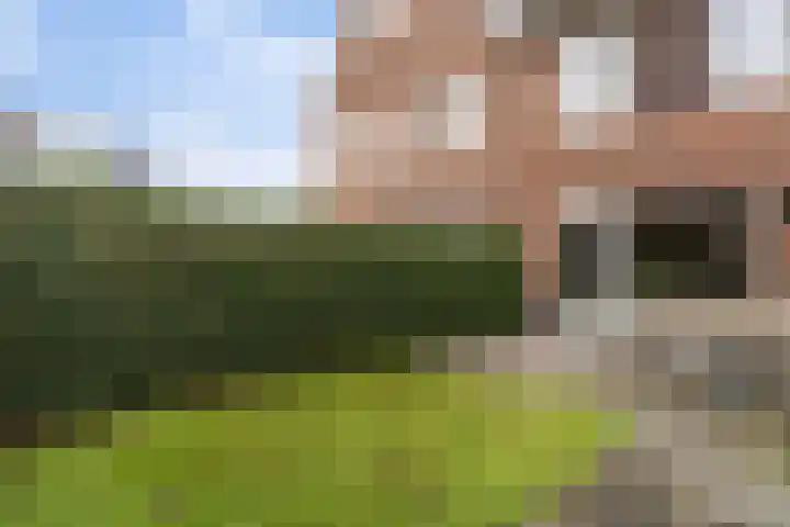 Korenaar 10 Weert thumbnail 34