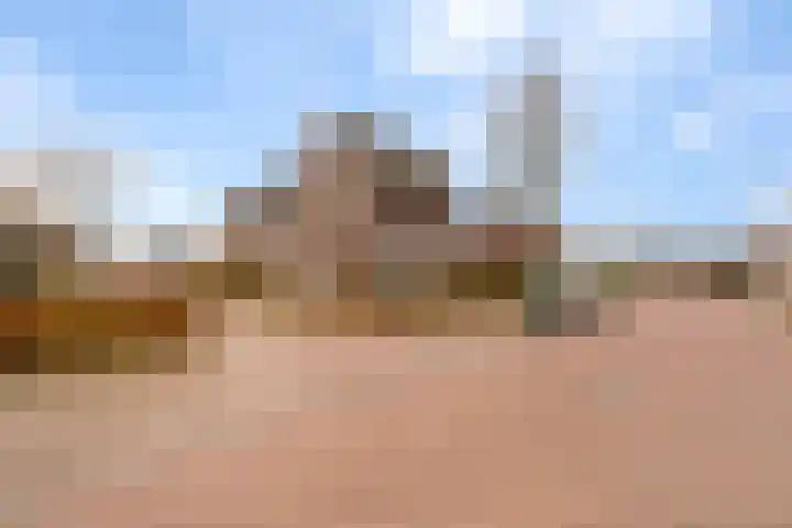 Korenaar 10 Weert thumbnail 37