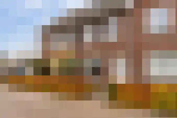 Korenaar 10 Weert thumbnail 6