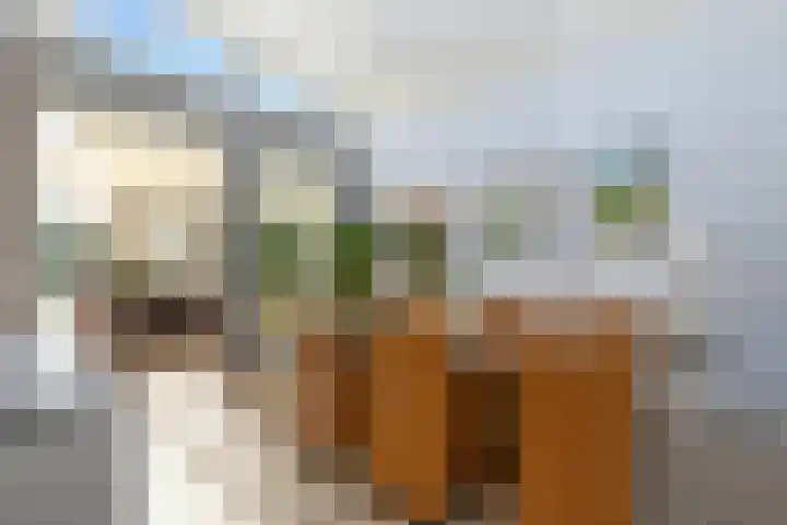 Korenaar 18 A Weert thumbnail 15