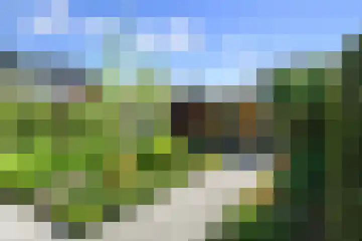Korenaar 18 A Weert thumbnail 6