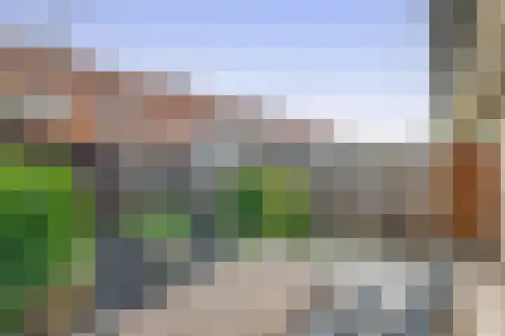 Korenakker 25 Pijnacker thumbnail 14
