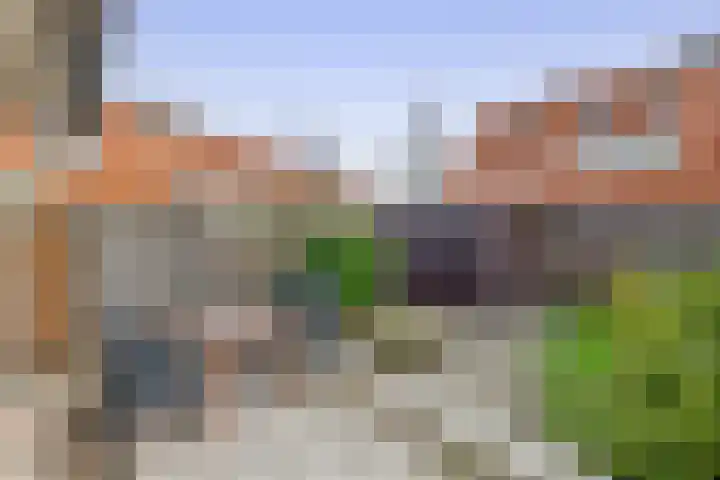 Korenakker 25 Pijnacker thumbnail 15