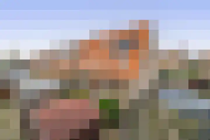 Korenakker 25 Pijnacker thumbnail 32