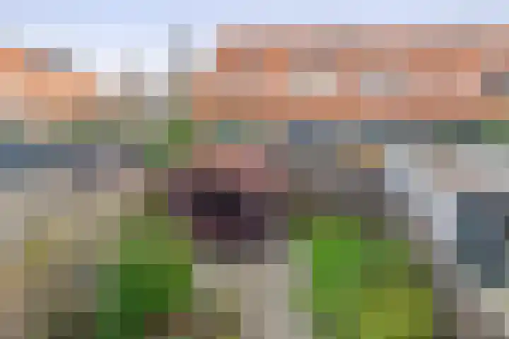 Korenakker 25 Pijnacker thumbnail 33