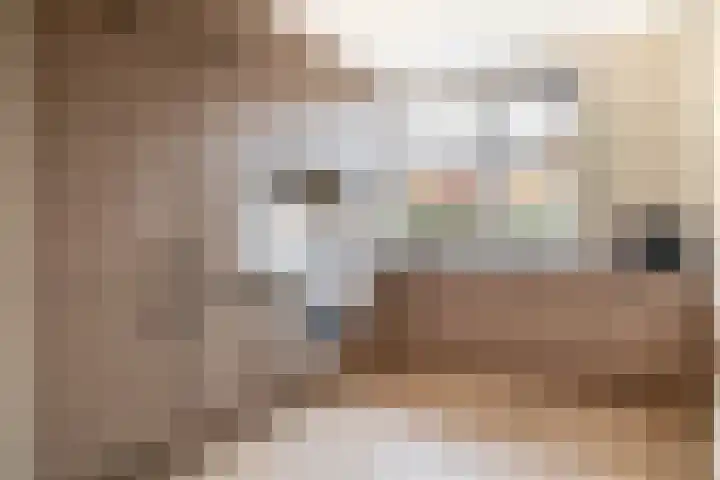 Korenakker 25 Pijnacker thumbnail 9