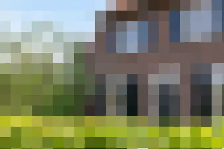 Korenbloem 10 Leiden thumbnail 41