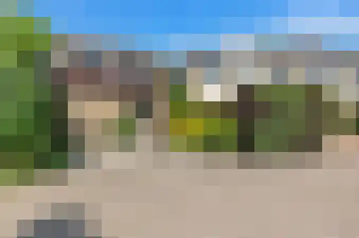 Korenbloem 10 Leiden thumbnail 5