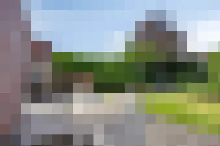 Korenbloem 13 Meppel thumbnail 36