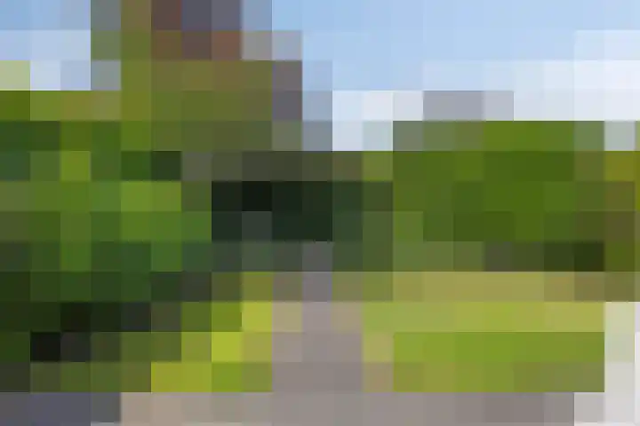 Korenbloem 13 Meppel thumbnail 38