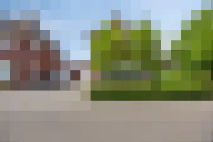 Korenbloem 13 Meppel thumbnail 42