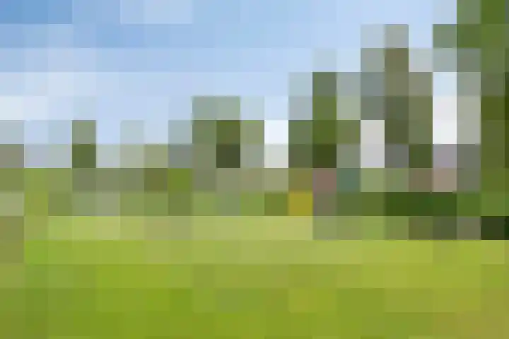 Korenbloem 13 Meppel thumbnail 44